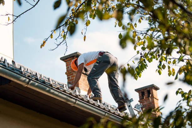 Best Storm Damage Roof Repair  in Burns Flat, OK